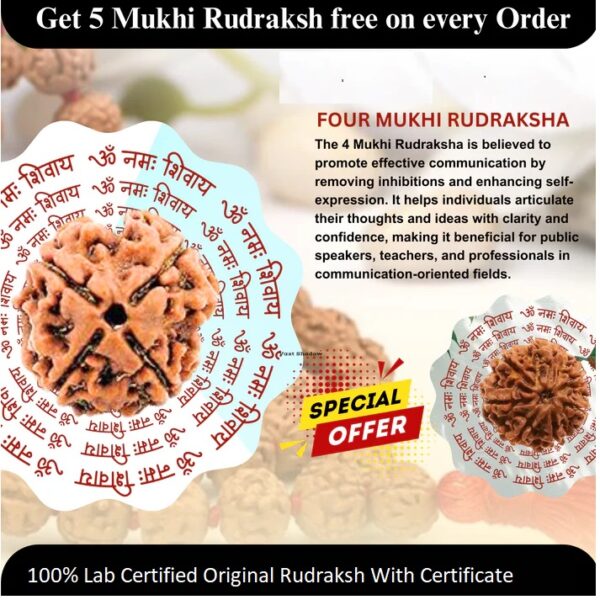 4 Mukhi Rudraksha