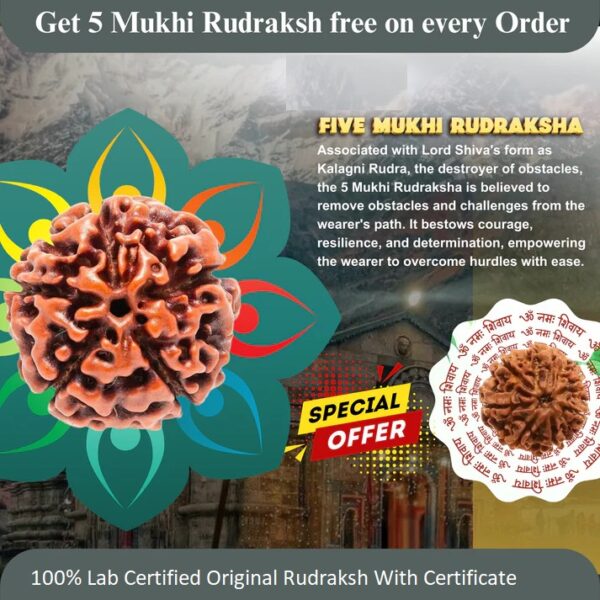 5 Mukhi Rudraksha