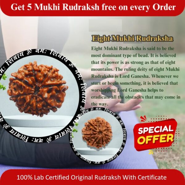 8 Mukhi Rudraksha