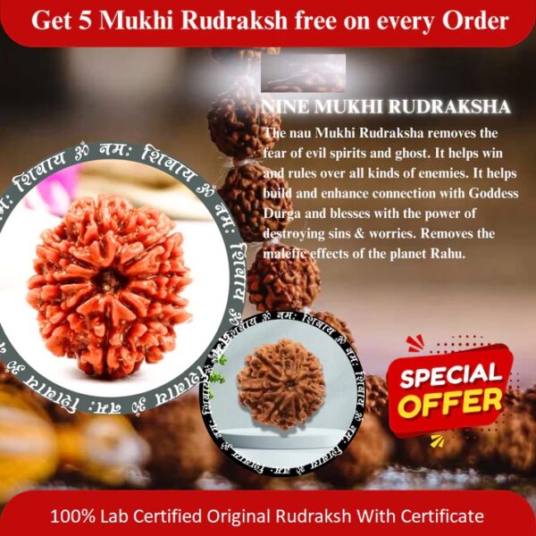 9 Mukhi Rudraksha