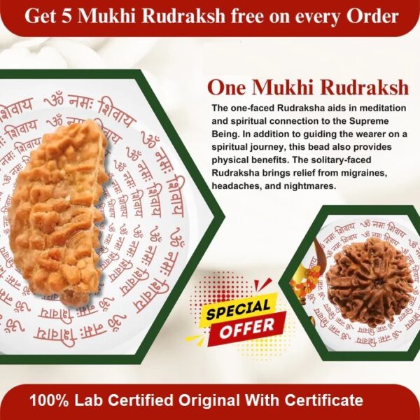 1 Mukhi Rudraksha Rameshwaram