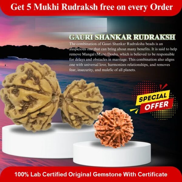 Gauri Shankar Rudraksha