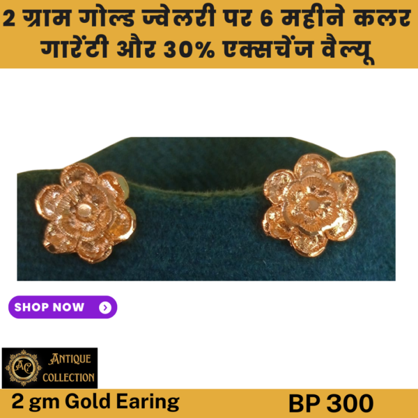 2 Gm Gold Plated Tops Earing